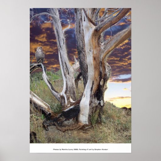 コロラドサンセット ポスター (正面)