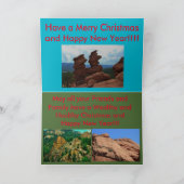 コロラドシーメスツインズクリスマスカード シーズンカード (内部)