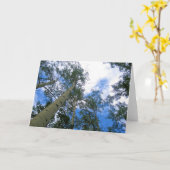 コロラドスカイグリーティングカード カード (黄色い花)