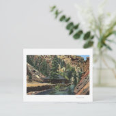 コロラドスプリングス, CO - マス ポストカード (スタンド正面)