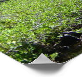 コロラドスプレンドールプリント ポスター (角)