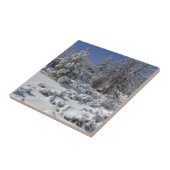 コロラドハイカントリーウィンタータイル タイル (側面)