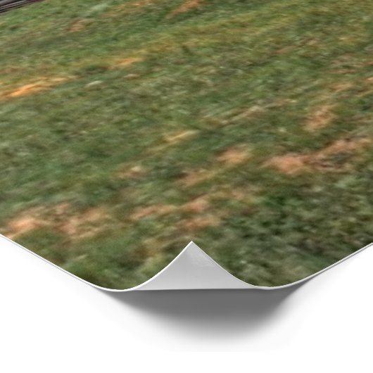 コロラドファーム ポスター (角)