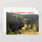 コロラドフォレストパインズウィズイエローオータム《植物》アスペン ポストカード (正面/裏面)