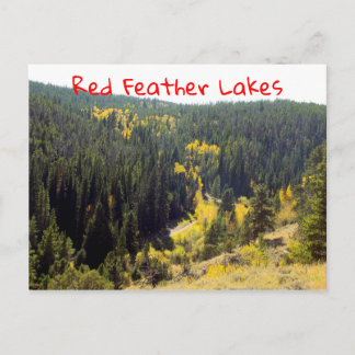 コロラドフォレストパインズウィズイエローオータム《植物》アスペン ポストカード