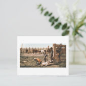 コロラドブランディング1904 ポストカード (スタンド正面)