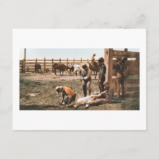 コロラドブランディング1904 ポストカード (正面)