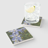 コロラドブルーオダマキ(植物)テルリドコロラド付近 ストーンコースター (横)