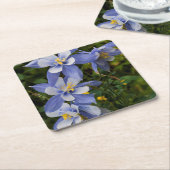 コロラドブルーオダマキ（植物）ニアテルリドコロラド スクエアペーパーコースター (アングル)