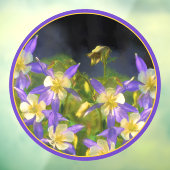 コロラドブルーオダマキ(植物)絵画ズ – オリジナルアート ウィンドウサイン (シート3)