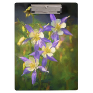 コロラドブルーオダマキ（植物）絵画ズ – オリジナルアート クリップボード