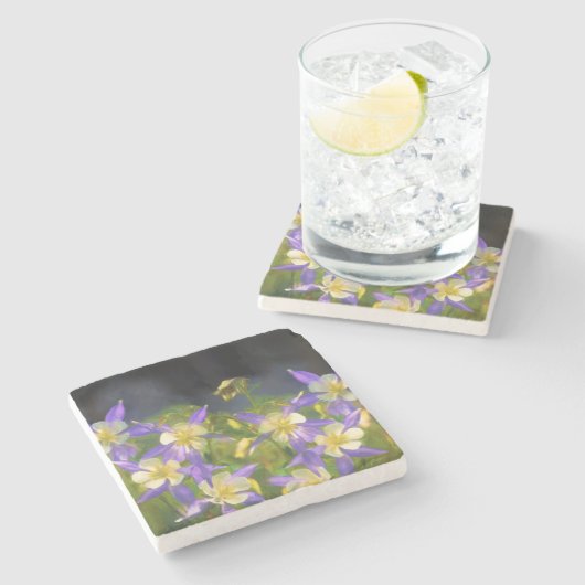 コロラドブルーオダマキ(植物)絵画ズ – オリジナルアート ストーンコースター (横)