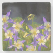 コロラドブルーオダマキ(植物)絵画ズ – オリジナルアート ストーンコースター (正面)