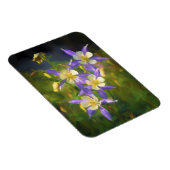 コロラドブルーオダマキ（植物）絵画ズ – オリジナルアート マグネット (右側)