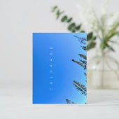 コロラドブルースカイ葉書 ポストカード (スタンド正面)