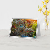 コロラドブルースプルース カード (黄色い花)