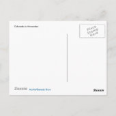 コロラドマウンテンズインザクラウドポストカード ポストカード (裏面)