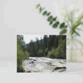 コロラドマウンテンリバースタディティ ポストカード (スタンド正面)