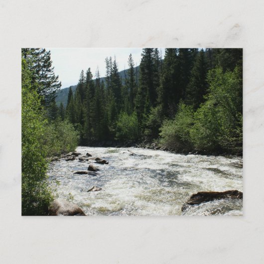コロラドマウンテンリバースタディティ ポストカード (正面)