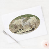 コロラドヤギのステッカー 楕円形シール (封筒)