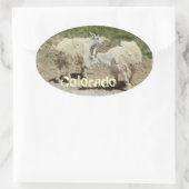 コロラドヤギのステッカー 楕円形シール (バッグ)