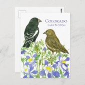 コロラドラークバンティング州バーズワイルドオダマキ(植物) ポストカード (正面/裏面)