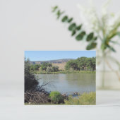 コロラドリバーアットリトルソルトウォッシュクリークはがき ポストカード (スタンド正面)