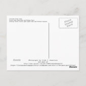 コロラドリバーアットリトルソルトウォッシュクリークはがき ポストカード (裏面)