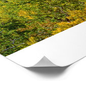 コロラドロッキーズインザ秋 ポスター (角)