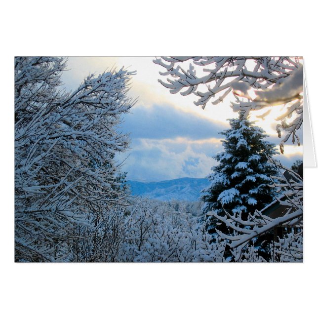 コロラドロッキーマウンテンスノー (正面横)