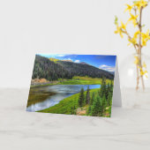 コロラドロッキーマウンテンズ国立公園 カード (黄色い花)