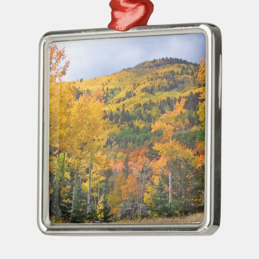 コロラドロッキーマウンテンズ《植物》アスペンツリー メタルオーナメント (左)