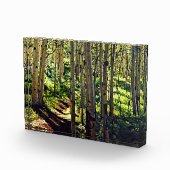 コロラドロッキーマウンテン《植物》アスペンツリー フォトブロック (右)