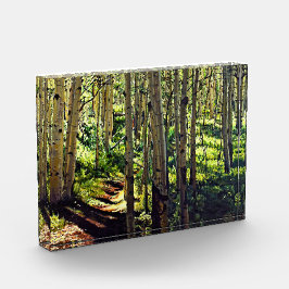 コロラドロッキーマウンテン《植物》アスペンツリー フォトブロック