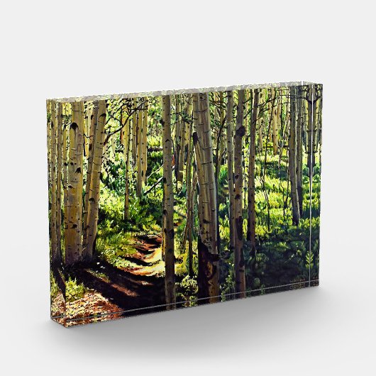 コロラドロッキーマウンテン《植物》アスペンツリー フォトブロック (左)