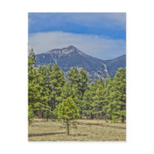 コロラドロッキー