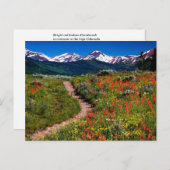 コロラドワイルドフラワーメドウ ポストカード (正面/裏面)