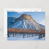 コロラドワインカントリーの冬 ポストカード (正面/裏面)