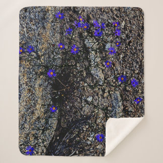 コロラド山脈 シェルパブランケット