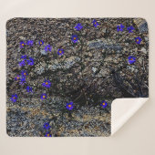 コロラド山脈 シェルパブランケット (正面(横))