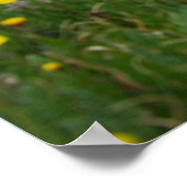 コロラド山脈 ポスター (角)