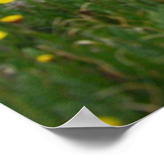 コロラド山脈 ポスター (角)