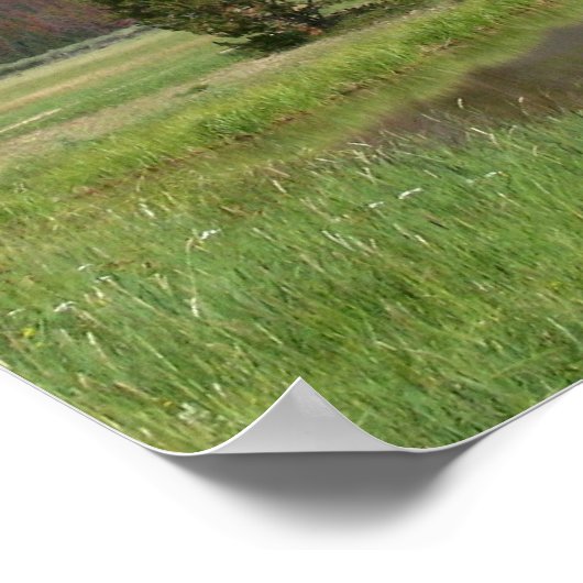 コロラド山脈 ポスター (角)