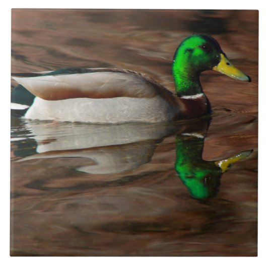 コロラド川のタイルのアヒル タイル (正面)