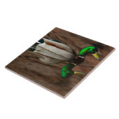 コロラド川のタイルのアヒル タイル (側面)