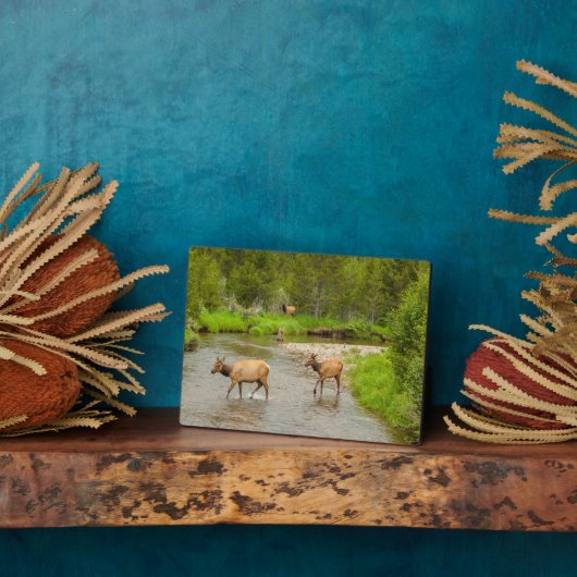 コロラド川を渡るエゾシカ フォトプラーク (側面)