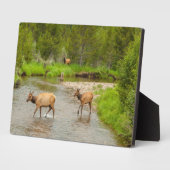 コロラド川を渡るエゾシカ フォトプラーク (側面)