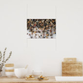 コロラド川ロックポスター ポスター (キッチン)