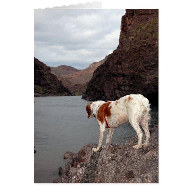 コロラド川上のブリッタニー (正面)