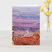 コロラド川 カード (黄色い花)